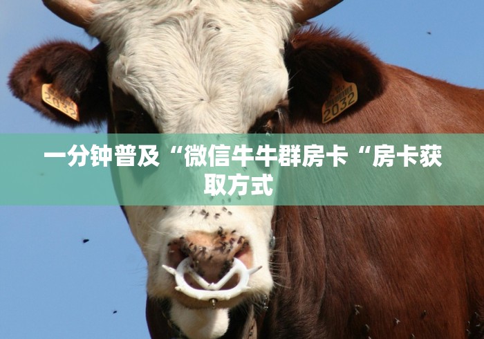 一分钟普及“微信牛牛群房卡“房卡获取方式 一分钟普及“微信牛牛群房卡“房卡获取方式