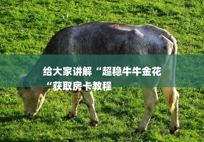 给大家讲解“超稳牛牛金花
“获取房卡教程