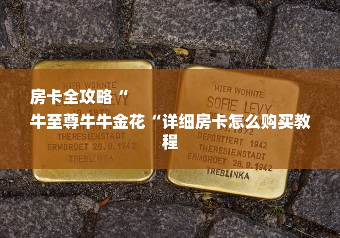 房卡全攻略“
牛至尊牛牛金花“详细房卡怎么购买教程