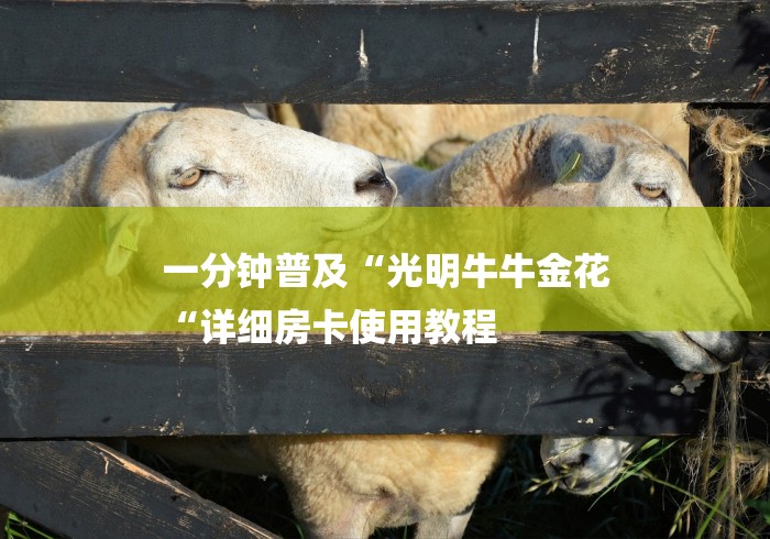 一分钟普及“光明牛牛金花
“详细房卡使用教程