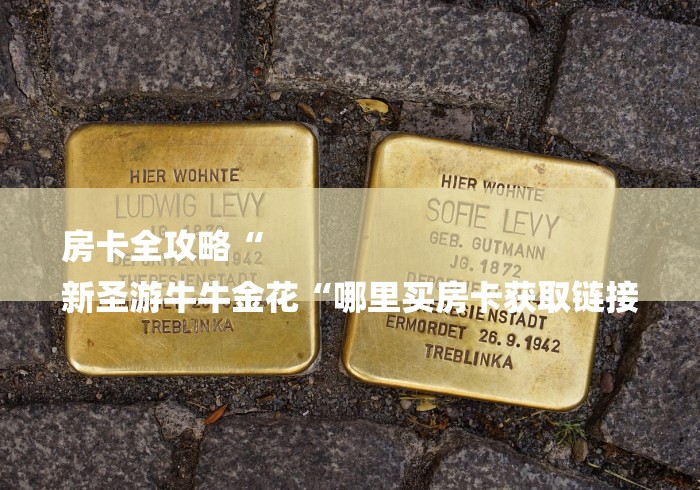 房卡全攻略“
新圣游牛牛金花“哪里买房卡获取链接 房卡全攻略“
新圣游牛牛金花“哪里买房卡获取链接