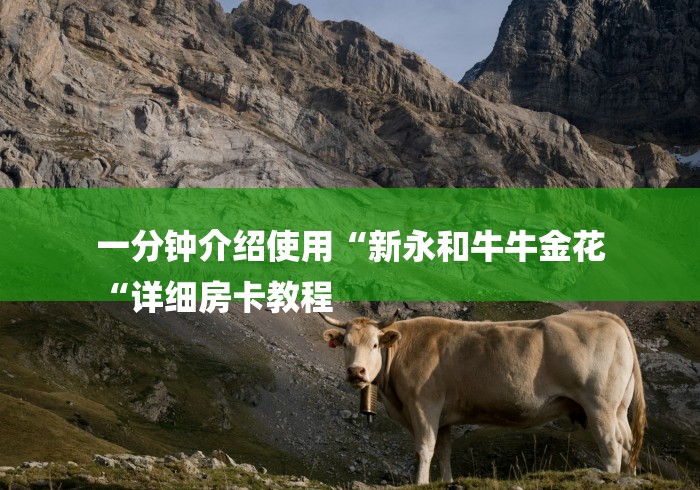 一分钟介绍使用“新永和牛牛金花
“详细房卡教程