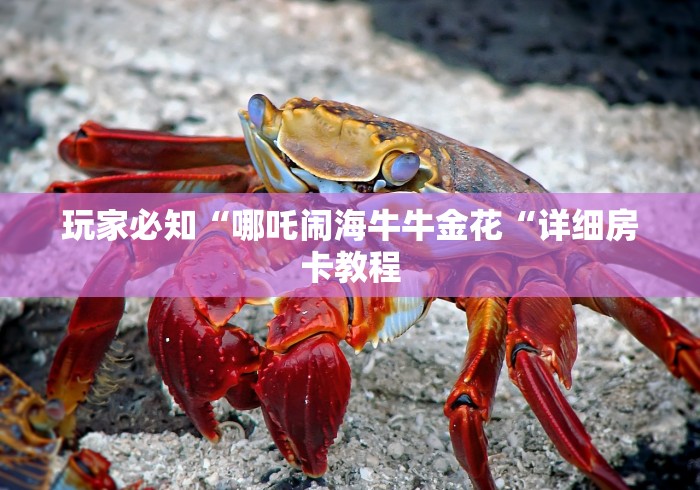 玩家必知“哪吒闹海牛牛金花“详细房卡教程