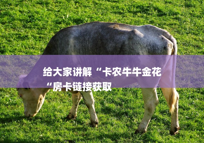 给大家讲解“卡农牛牛金花
“房卡链接获取