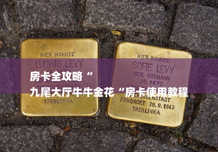 房卡全攻略“
九尾大厅牛牛金花“房卡使用教程 房卡全攻略“
九尾大厅牛牛金花“房卡使用教程