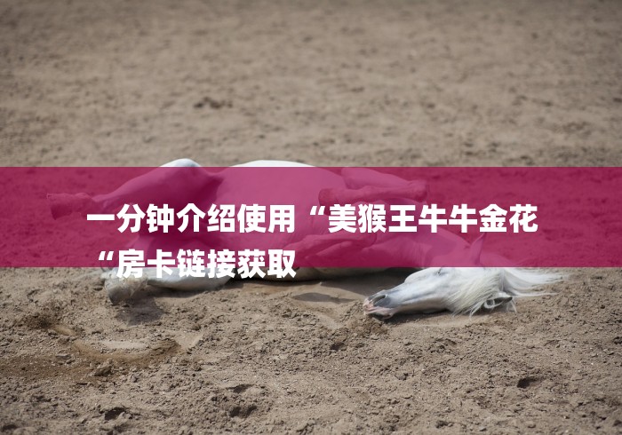 一分钟介绍使用“美猴王牛牛金花
“房卡链接获取