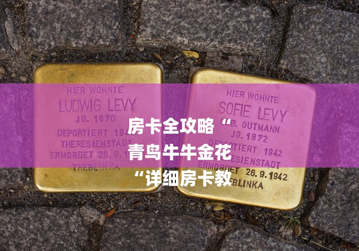 房卡全攻略“
青鸟牛牛金花
“详细房卡教 房卡全攻略“
青鸟牛牛金花
“详细房卡教