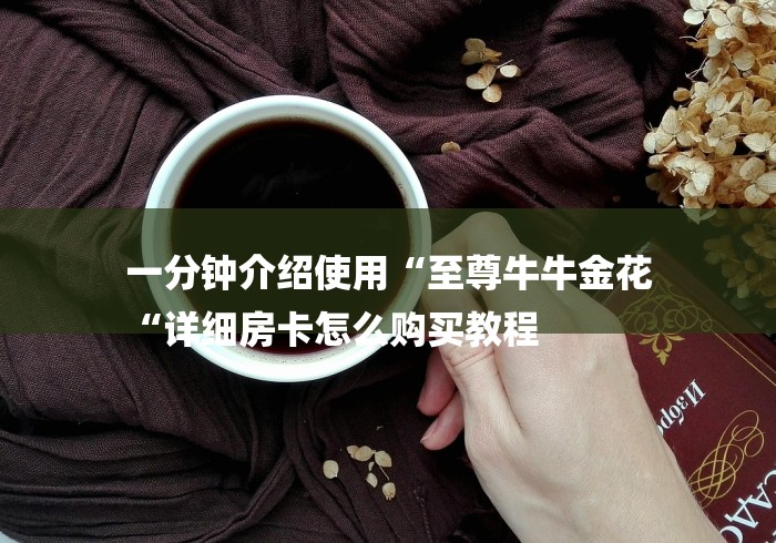 一分钟介绍使用“至尊牛牛金花
“详细房卡怎么购买教程