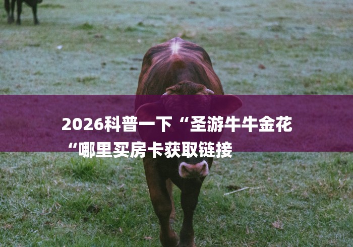 2026科普一下“圣游牛牛金花
“哪里买房卡获取链接 2026科普一下“圣游牛牛金花
“哪里买房卡获取链接