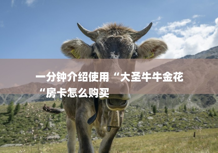 一分钟介绍使用“大圣牛牛金花
“房卡怎么购买 一分钟介绍使用“大圣牛牛金花
“房卡怎么购买