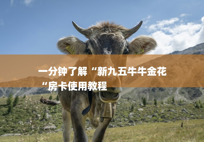 一分钟了解“新九五牛牛金花
“房卡使用教程