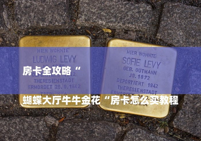 房卡全攻略“
蝴蝶大厅牛牛金花“房卡怎么买教程 房卡全攻略“
蝴蝶大厅牛牛金花“房卡怎么买教程