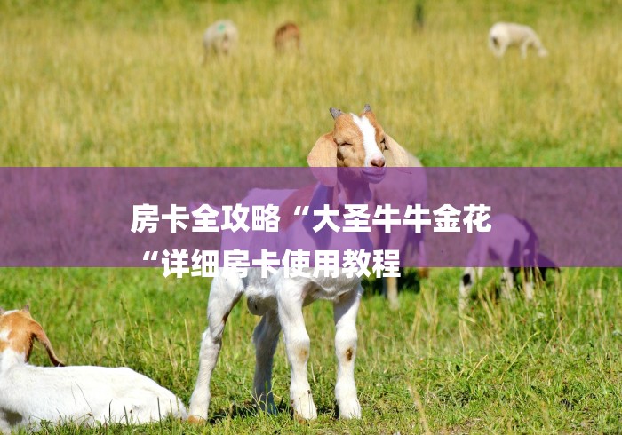 房卡全攻略“大圣牛牛金花
“详细房卡使用教程 房卡全攻略“大圣牛牛金花
“详细房卡使用教程