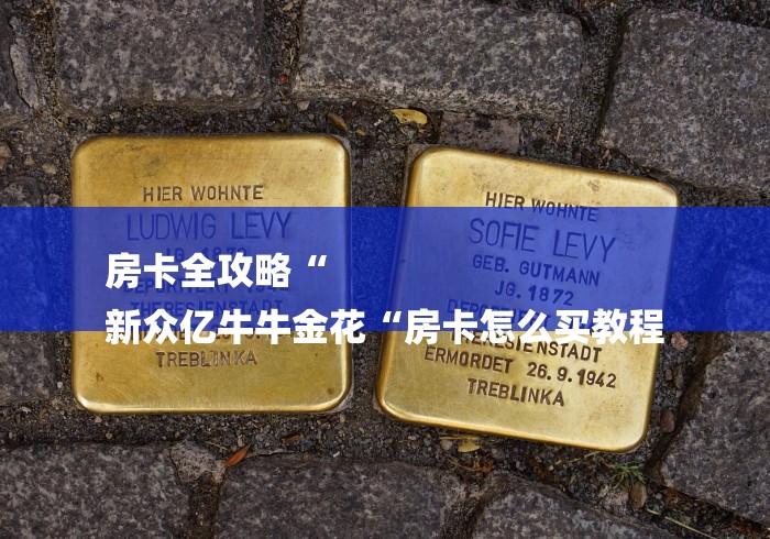 房卡全攻略“
新众亿牛牛金花“房卡怎么买教程