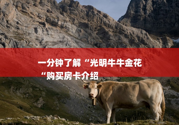 一分钟了解“光明牛牛金花
“购买房卡介绍