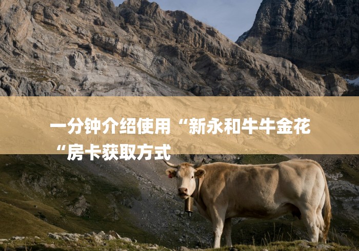 一分钟介绍使用“新永和牛牛金花
“房卡获取方式