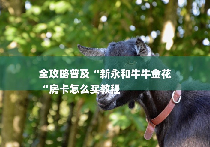 全攻略普及“新永和牛牛金花
“房卡怎么买教程