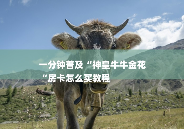 一分钟普及“神皇牛牛金花
“房卡怎么买教程 一分钟普及“神皇牛牛金花
“房卡怎么买教程