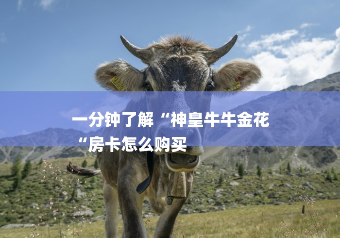 一分钟了解“神皇牛牛金花
“房卡怎么购买 一分钟了解“神皇牛牛金花
“房卡怎么购买