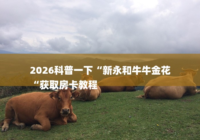 2026科普一下“新永和牛牛金花
“获取房卡教程 2026科普一下“新永和牛牛金花
“获取房卡教程