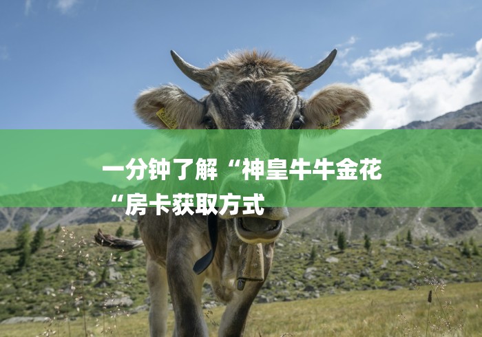 一分钟了解“神皇牛牛金花
“房卡获取方式