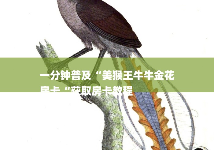 一分钟普及“美猴王牛牛金花
房卡“获取房卡教程