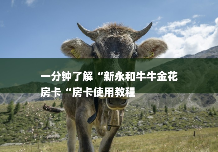 一分钟了解“新永和牛牛金花
房卡“房卡使用教程