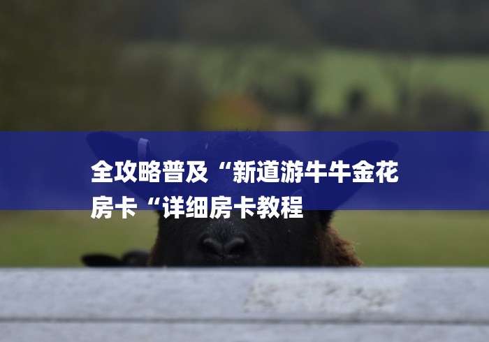 全攻略普及“新道游牛牛金花
房卡“详细房卡教程