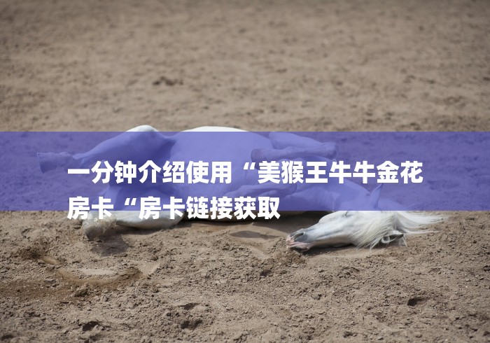 一分钟介绍使用“美猴王牛牛金花
房卡“房卡链接获取 一分钟介绍使用“美猴王牛牛金花
房卡“房卡链接获取