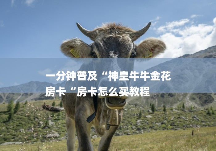 一分钟普及“神皇牛牛金花
房卡“房卡怎么买教程