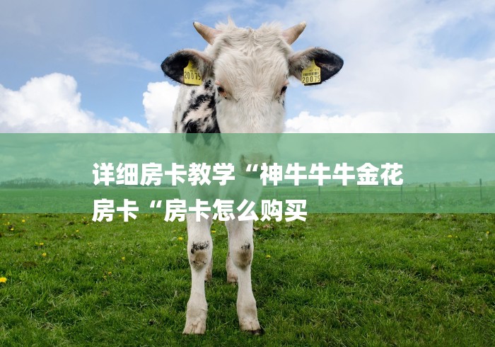 详细房卡教学“神牛牛牛金花
房卡“房卡怎么购买 详细房卡教学“神牛牛牛金花
房卡“房卡怎么购买