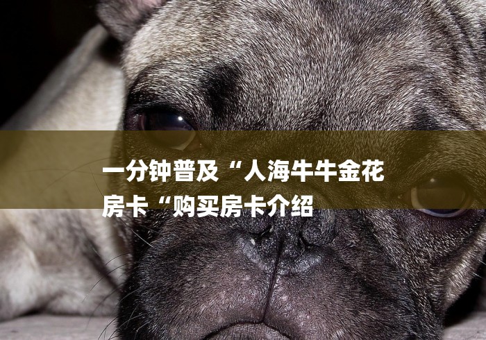一分钟普及“人海牛牛金花
房卡“购买房卡介绍