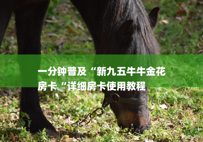 一分钟普及“新九五牛牛金花
房卡“详细房卡使用教程 一分钟普及“新九五牛牛金花
房卡“详细房卡使用教程