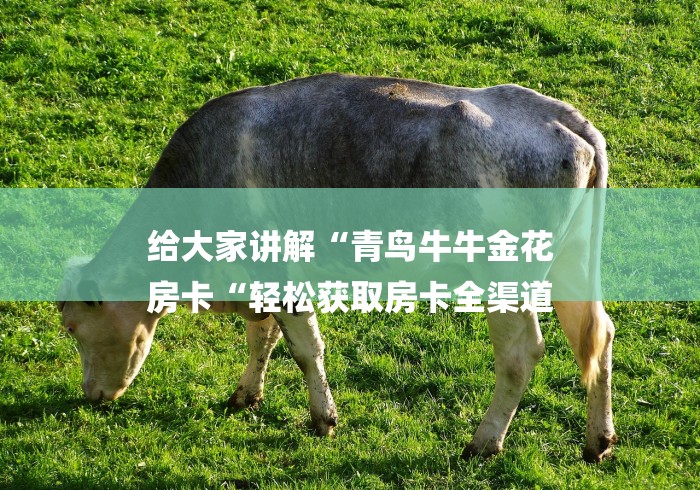 给大家讲解“青鸟牛牛金花
房卡“轻松获取房卡全渠道