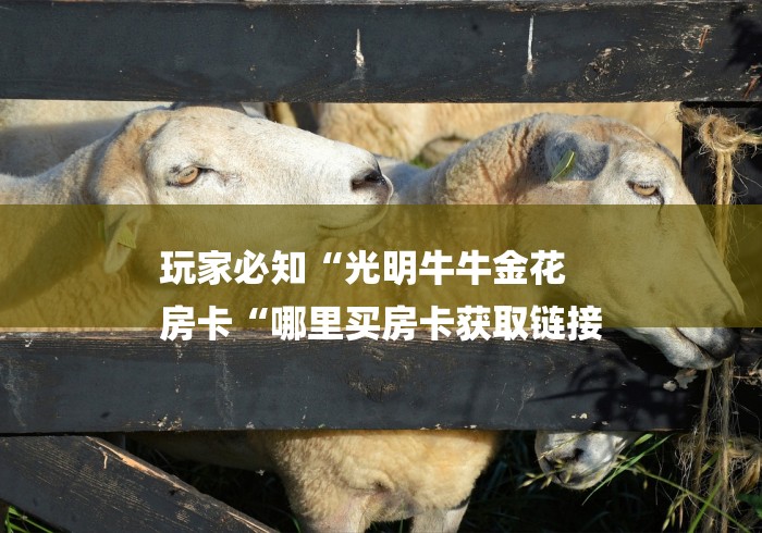 玩家必知“光明牛牛金花
房卡“哪里买房卡获取链接 玩家必知“光明牛牛金花
房卡“哪里买房卡获取链接