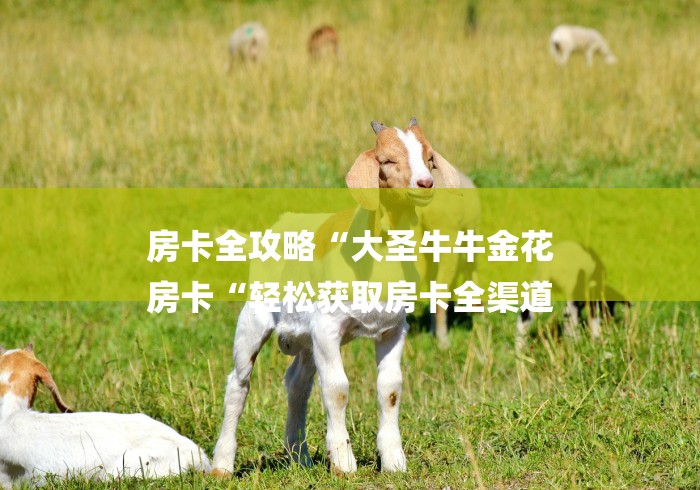 房卡全攻略“大圣牛牛金花
房卡“轻松获取房卡全渠道 房卡全攻略“大圣牛牛金花
房卡“轻松获取房卡全渠道