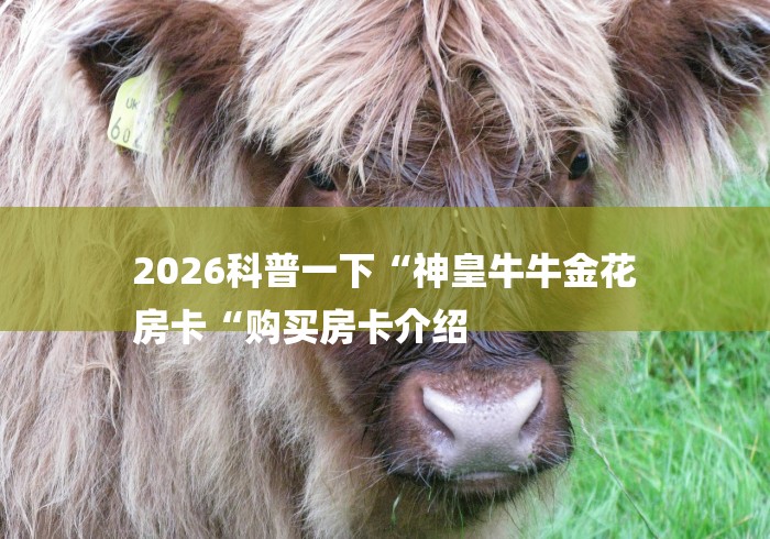 2026科普一下“神皇牛牛金花
房卡“购买房卡介绍