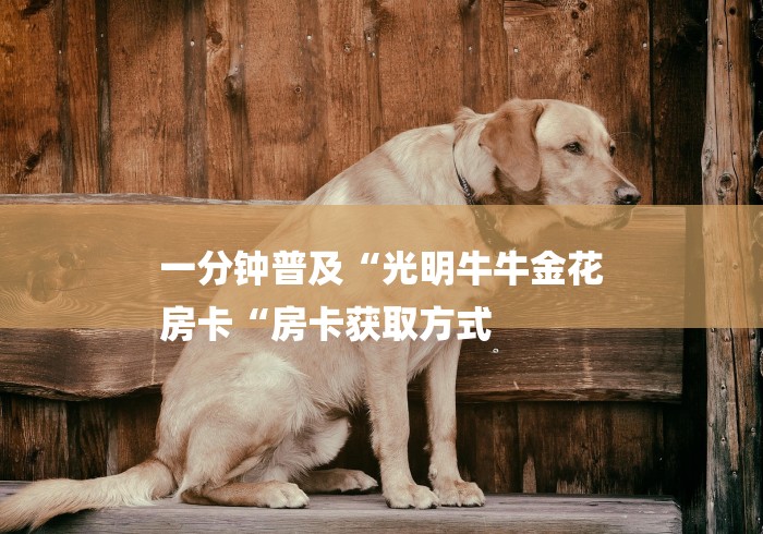 一分钟普及“光明牛牛金花
房卡“房卡获取方式 一分钟普及“光明牛牛金花
房卡“房卡获取方式