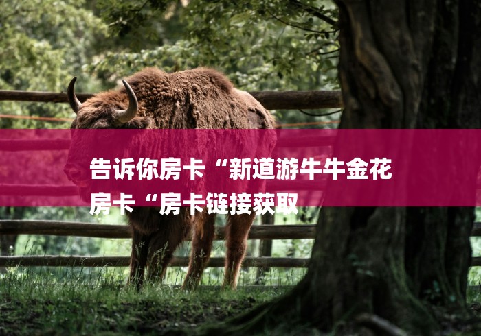 告诉你房卡“新道游牛牛金花
房卡“房卡链接获取