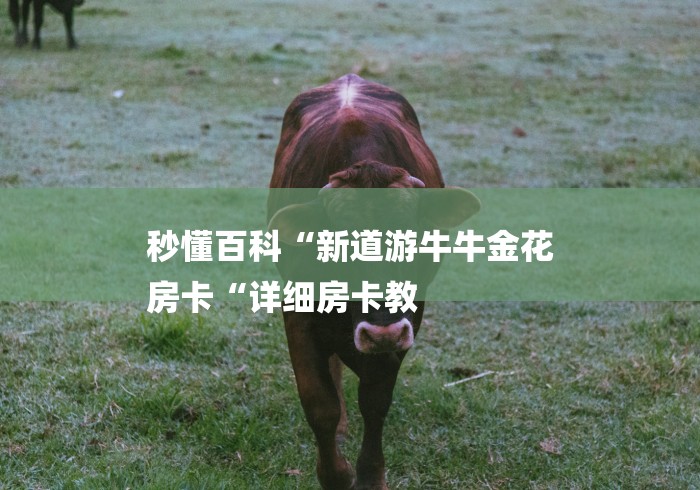 秒懂百科“新道游牛牛金花
房卡“详细房卡教 秒懂百科“新道游牛牛金花
房卡“详细房卡教