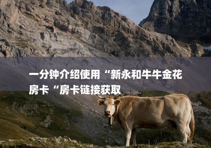 一分钟介绍使用“新永和牛牛金花
房卡“房卡链接获取 一分钟介绍使用“新永和牛牛金花
房卡“房卡链接获取