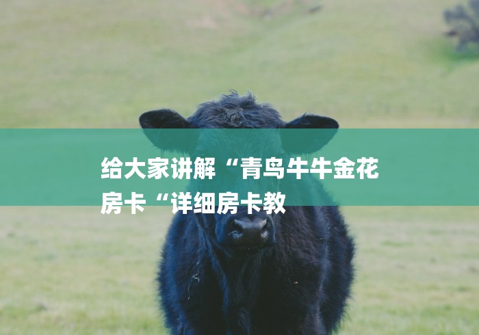 给大家讲解“青鸟牛牛金花
房卡“详细房卡教