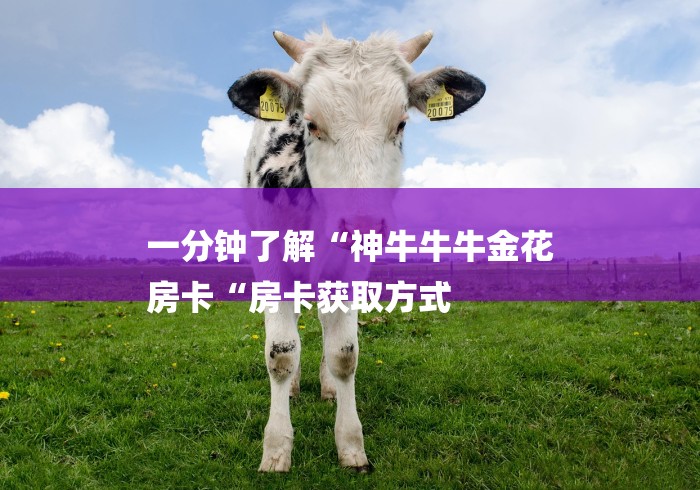 一分钟了解“神牛牛牛金花
房卡“房卡获取方式 一分钟了解“神牛牛牛金花
房卡“房卡获取方式