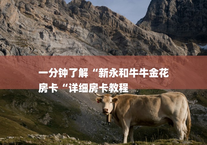 一分钟了解“新永和牛牛金花
房卡“详细房卡教程