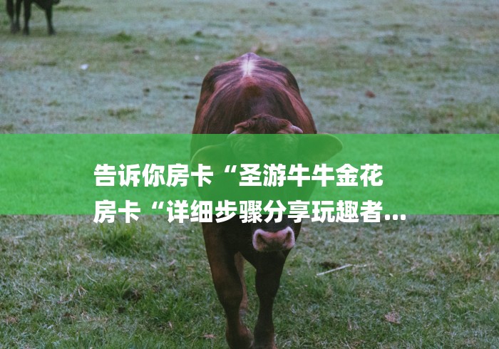 告诉你房卡“圣游牛牛金花
房卡“详细步骤分享玩趣者...