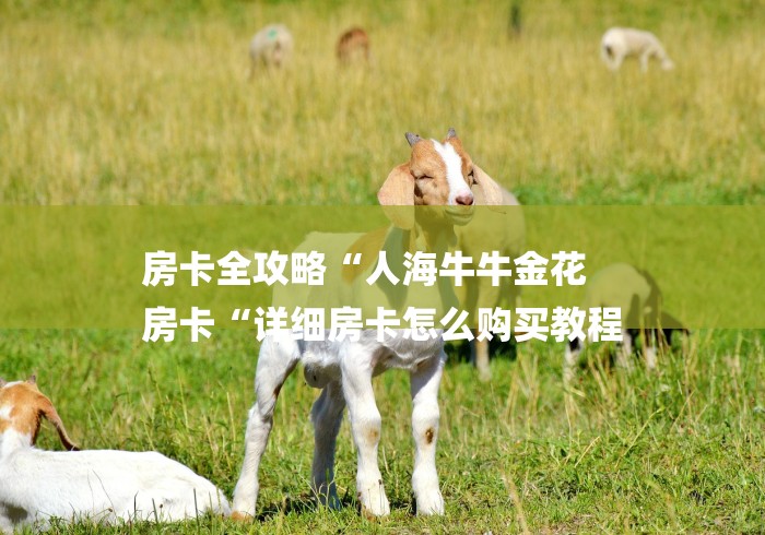 房卡全攻略“人海牛牛金花
房卡“详细房卡怎么购买教程