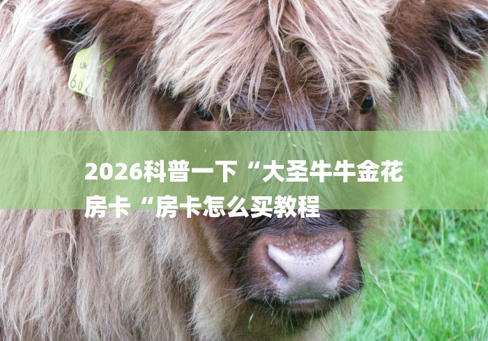 2026科普一下“大圣牛牛金花
房卡“房卡怎么买教程