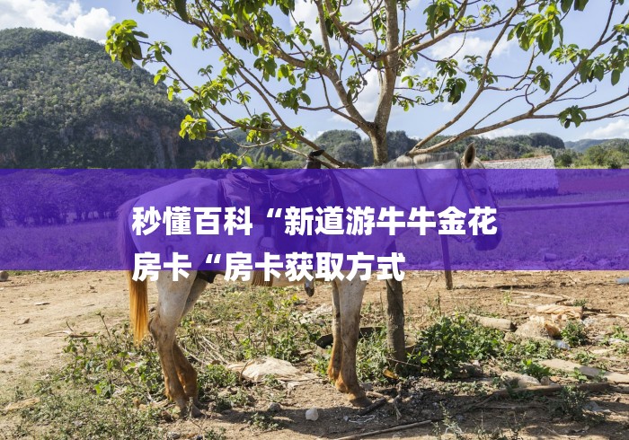 秒懂百科“新道游牛牛金花
房卡“房卡获取方式