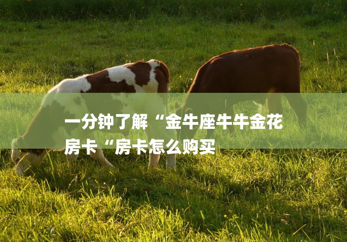 一分钟了解“金牛座牛牛金花
房卡“房卡怎么购买