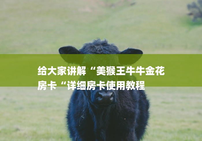 给大家讲解“美猴王牛牛金花
房卡“详细房卡使用教程